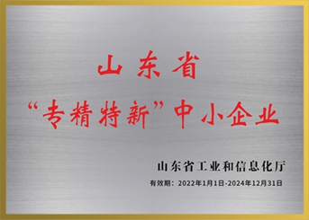 shandong specialized special new small and medium-sized enterprises